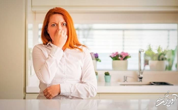 علائم وجود سوسک در خانه  بوی سوسک